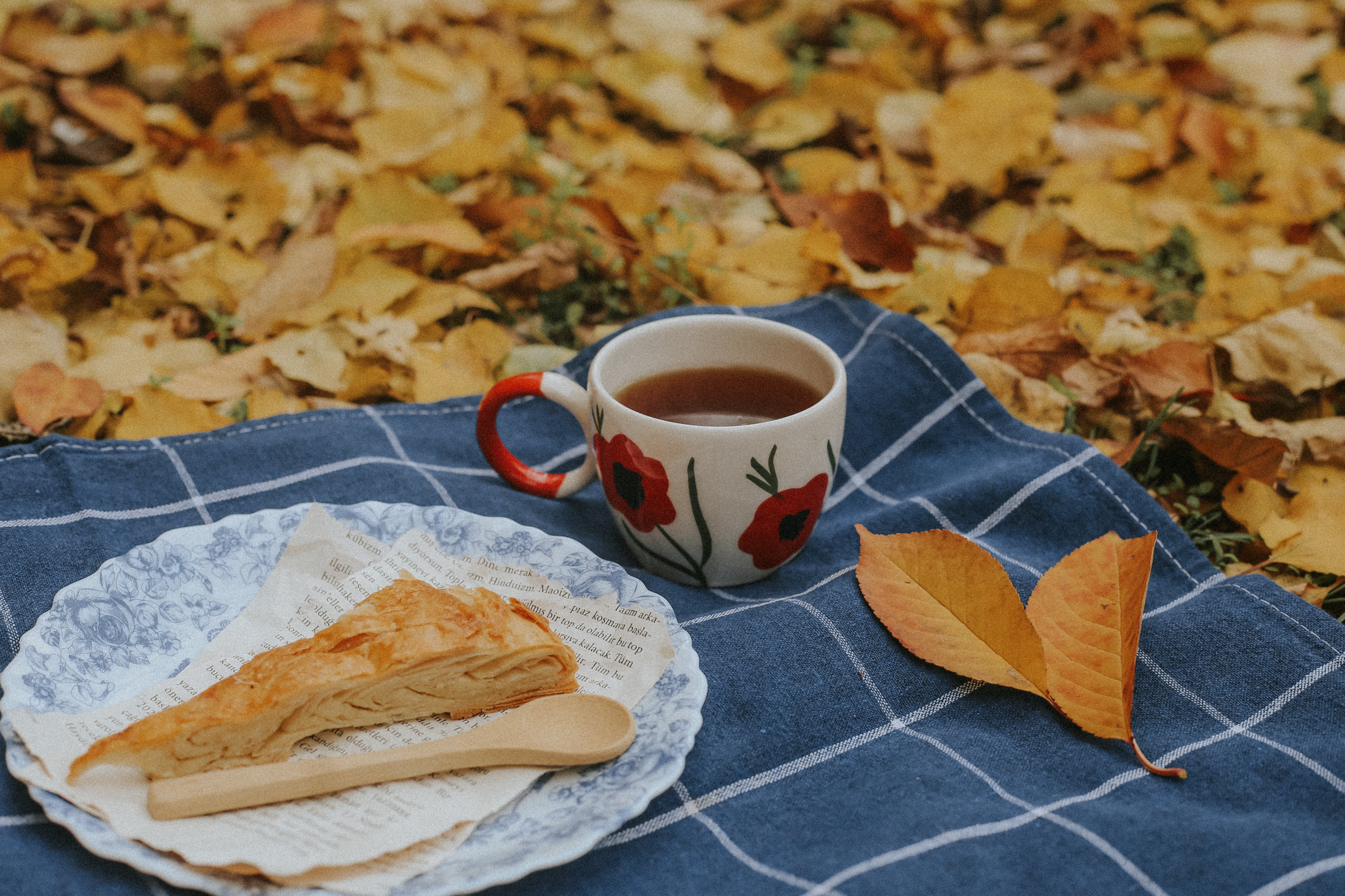 Photo by betül akyürek: https://www.pexels.com/photo/cup-of-tea-and-apple-pie-on-blanket-among-autumn-leaves-19490884/ Home Decoration GPT