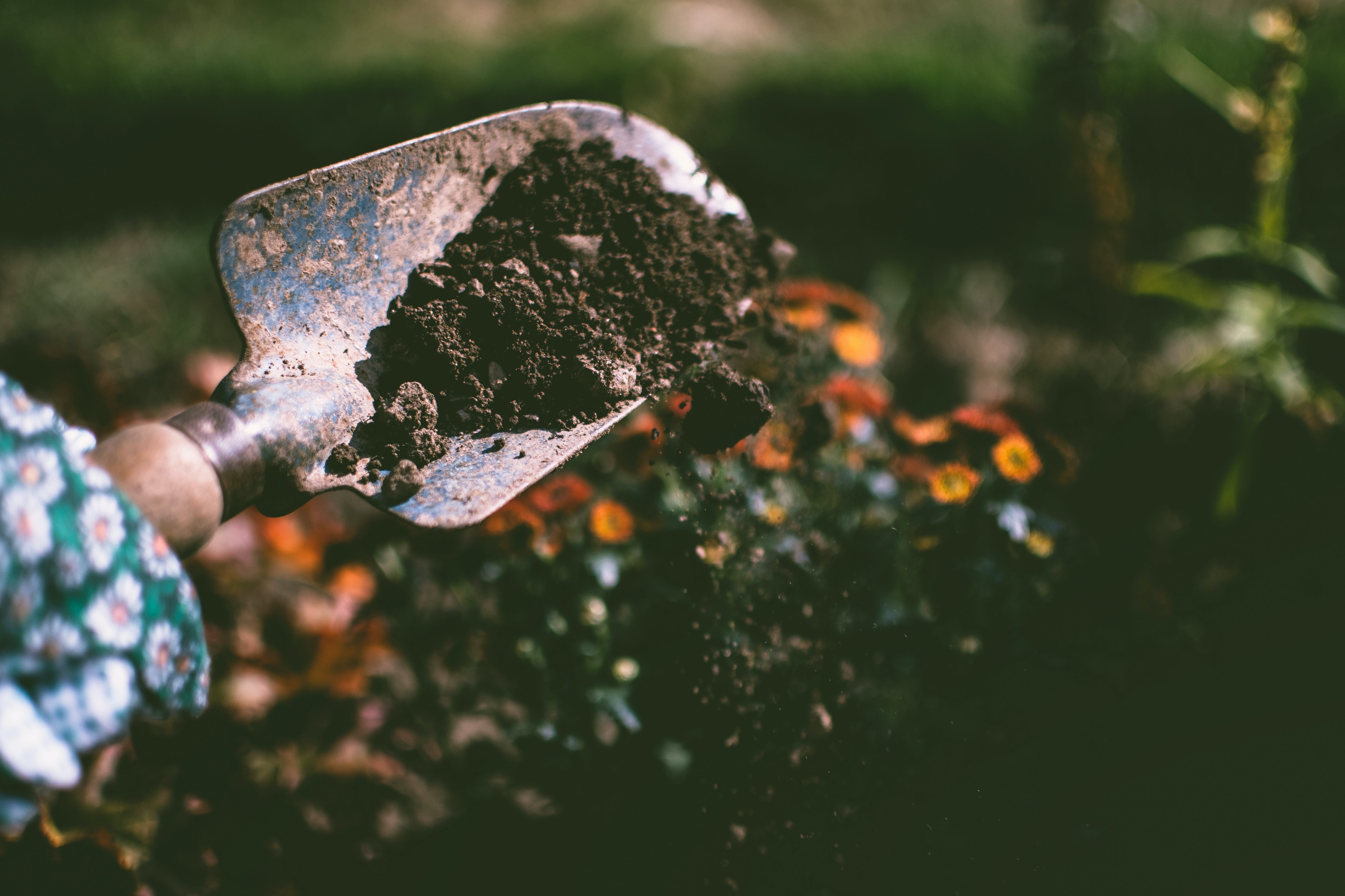 Photo by Lisa Fotios: https://www.pexels.com/photo/person-digging-on-soil-using-garden-shovel-1301856/ gardener gpt